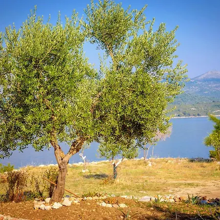 Luxury Slano Doli Dubrovnik Region Вилла